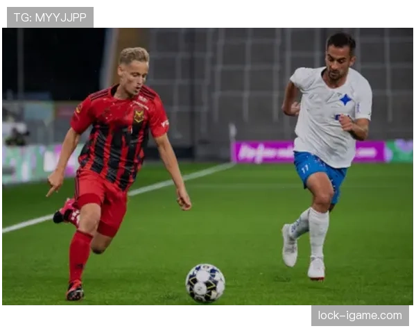 赫拉德茨基状态回升，力助芬兰国家队冲击欧洲杯入场券