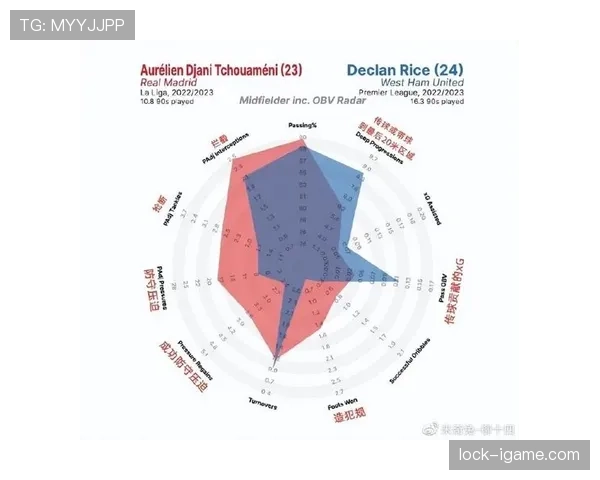 赖斯技术能力总结